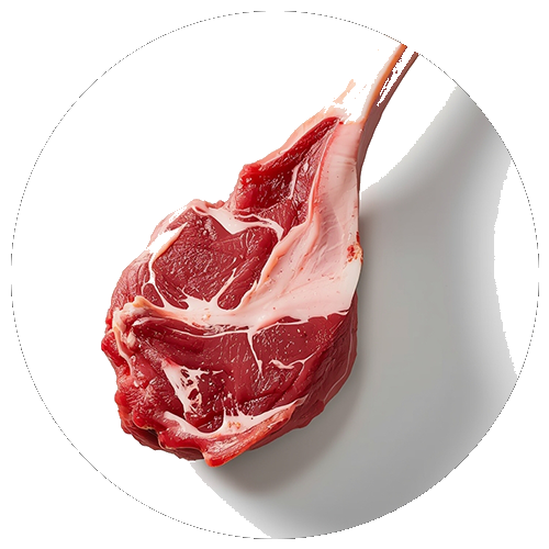 Lamb meat
