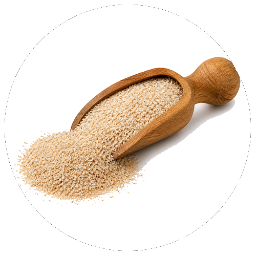 Psyllium